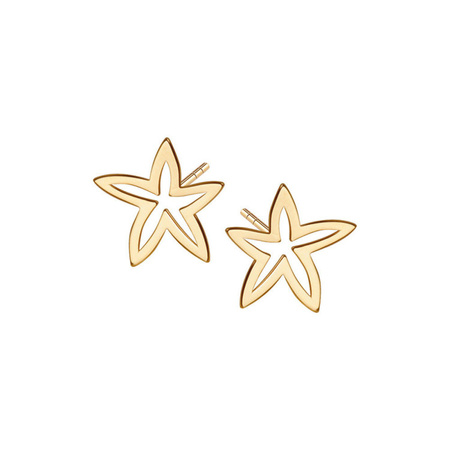 Kolczyki srebrne pozłacane gwiazdki
