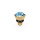 Element top wkręcany Qudo Bottone 5mm stal pozłacana Aquamarine