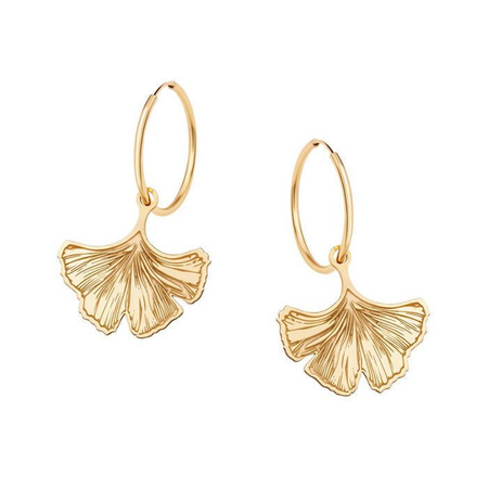 Kolczyki srebrne złote kółka z liściem miłorzębu